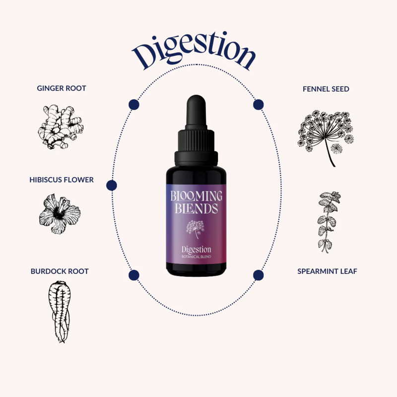 Digestion Herbal Tincture