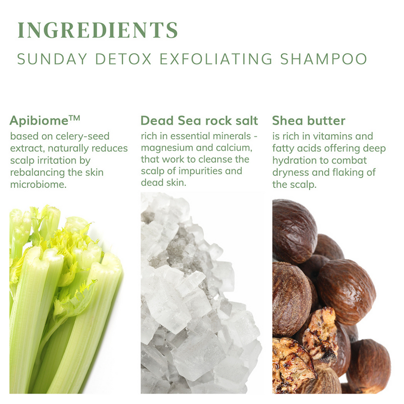 Sunday Detox Exfoliating Shampoo (Various Sizes)